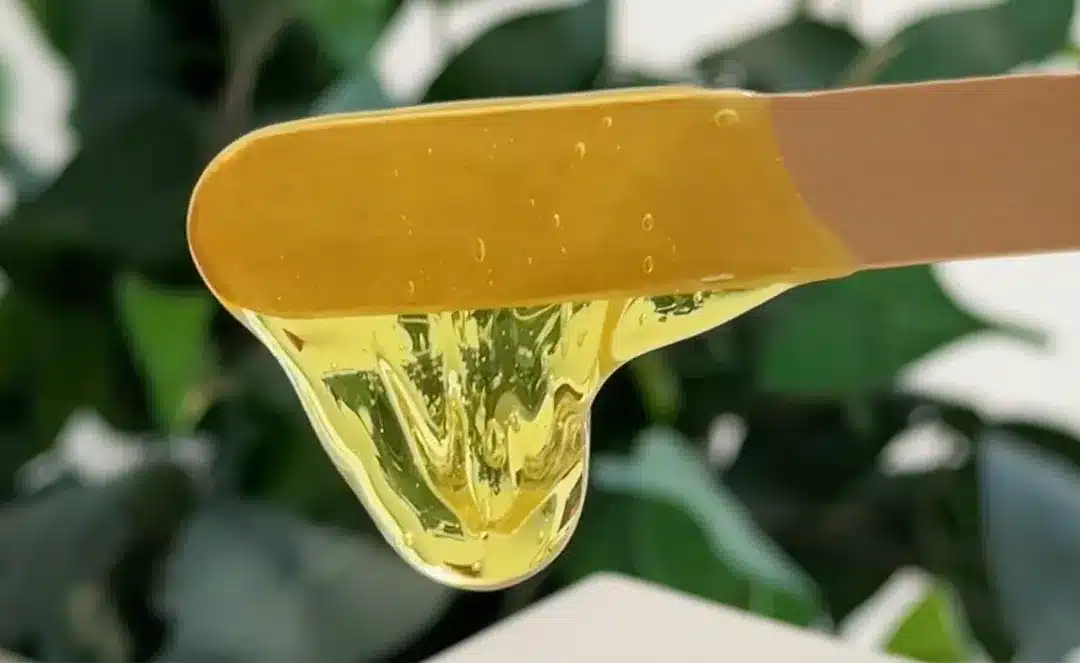 CERA BRASILIANA